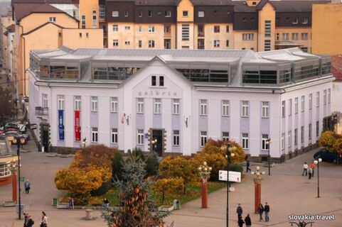 Považie Gallery of Art