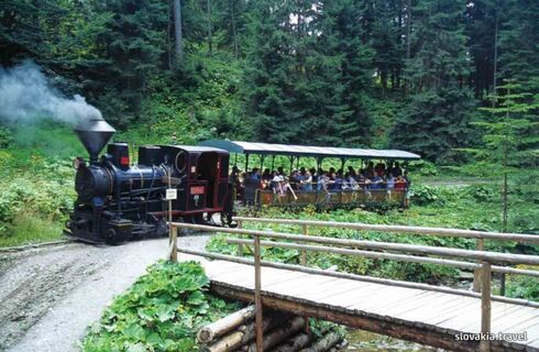 Lesná železnica Vychylovka