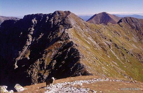 Roháče Mts. (West Tatras)