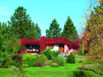 Arboretum Borová hora