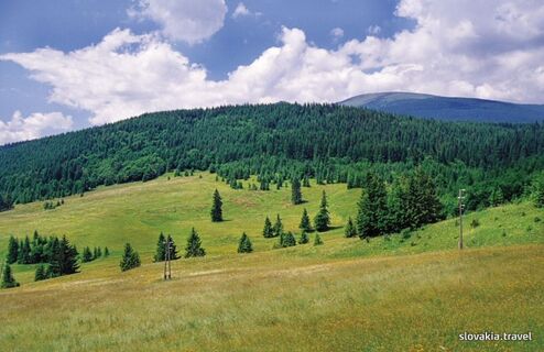 Kráľova hoľa (Nízke Tatry)