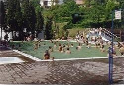 Thermal Swimming Pool Sklené Teplice