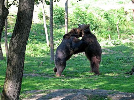 Zoologická záhrada v Košiciach