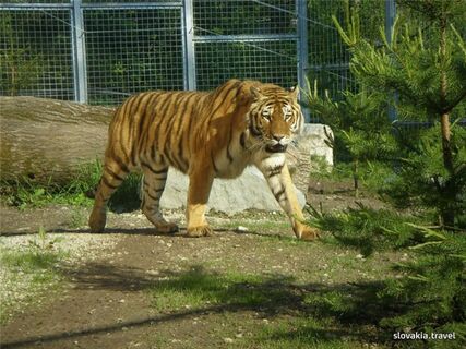 Zoological garden in Spišská Nová Ves