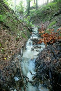 National Park of Poloniny