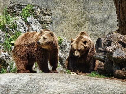 Zoological garden Bojnice