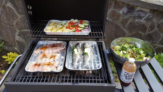 Guest House Chata Alpina