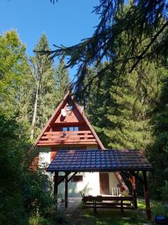 Squirrel cottage