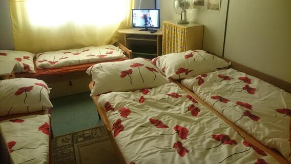 Chatka Žabka Dolná Strehová