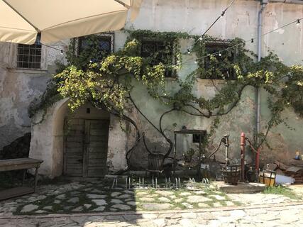Mulberry Tree Vineyard house