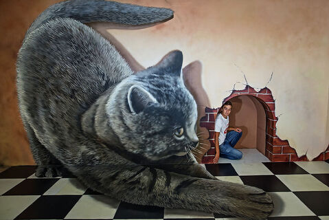 Gallery of Illusion
