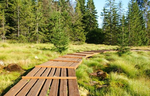 Peatlands