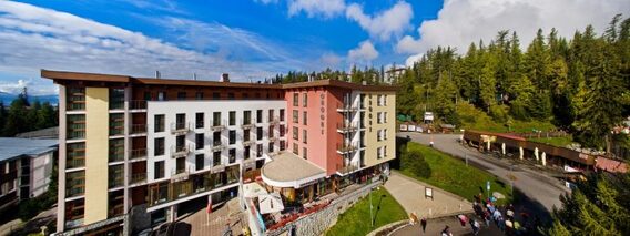 Hotel Crocus