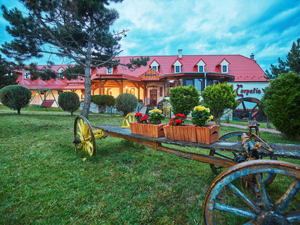 Hotel Carpatia