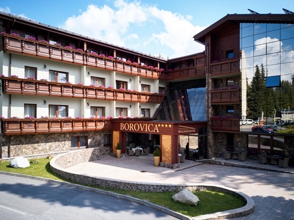 Wellness Hotel Borovica****