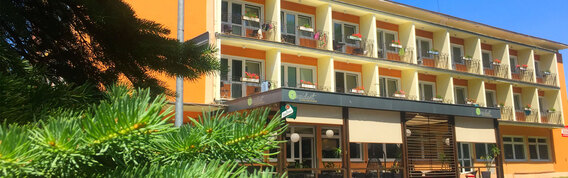 Hotel Rezident