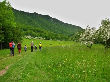 Syslia lúka - Biele vody