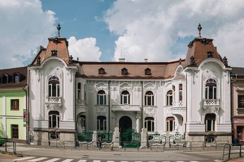 Rosenfeld palace