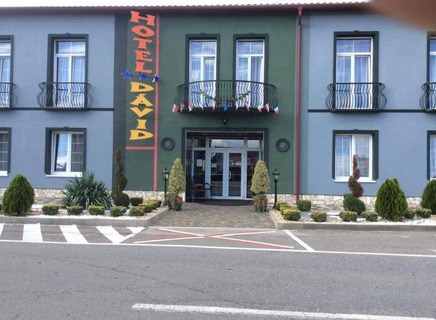 Hotel David
