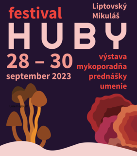 Festival HUBY