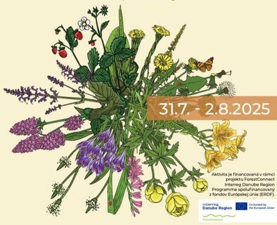 🌷Ručné kosenie Kopaneckých lúk🌷