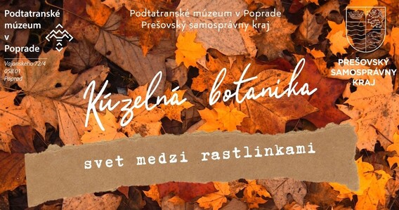 Kúzelná botanika - svet medzi rastlinkami