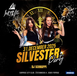 🎇 S I L V E S T E R  2025 🎇