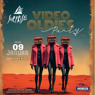 📼 VIDEOOLDIES PARTY 📼