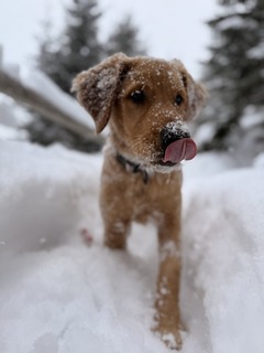 LabkoFest Tatry 2026