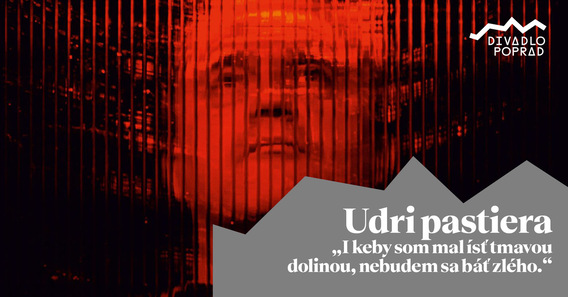 Udri pastiera