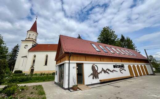 Mammoths in Spišská Teplica
