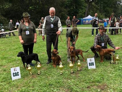 Dog Show – Club Exhibition of Tatra Hounds