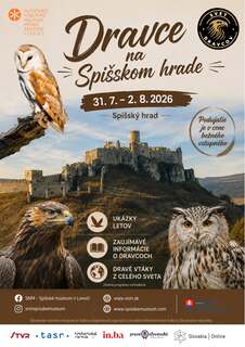 Dravce na Spišskom hrade