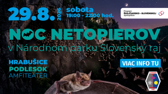 Bat Night in Slovak Paradise National Park