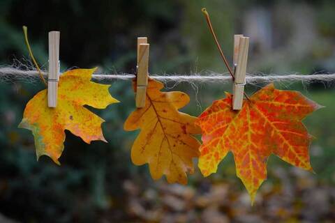 Children's Creative Workshop – Under the Autumn Crown